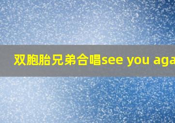 双胞胎兄弟合唱see you again